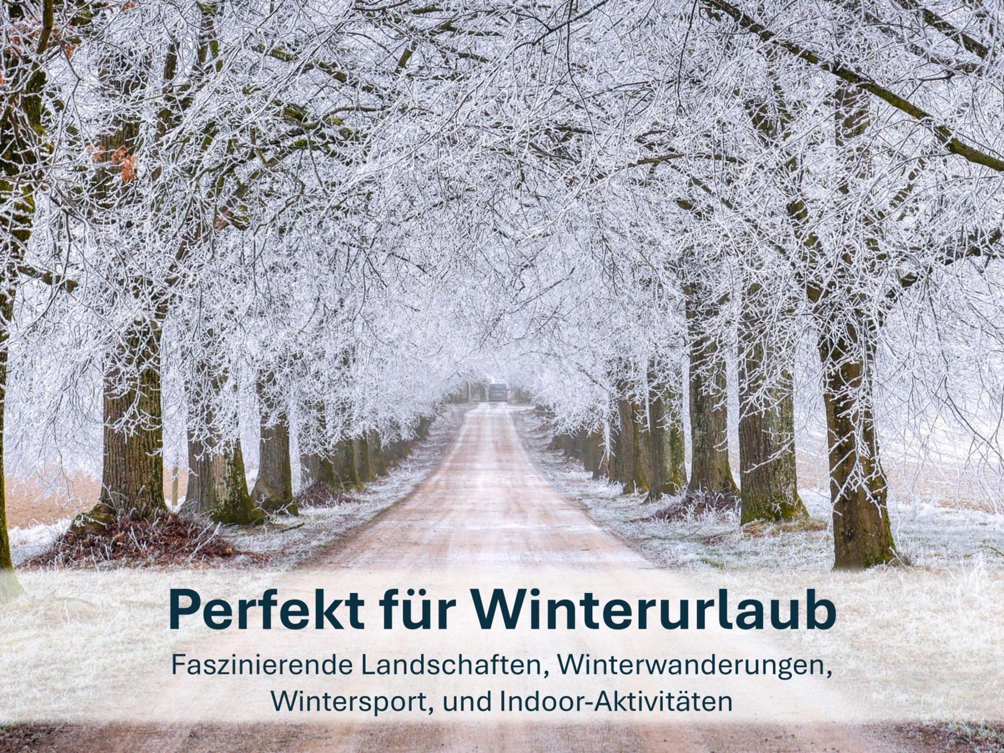 Zinnowitz, Paradies Am Wald - Wg 05 Екстер'єр фото