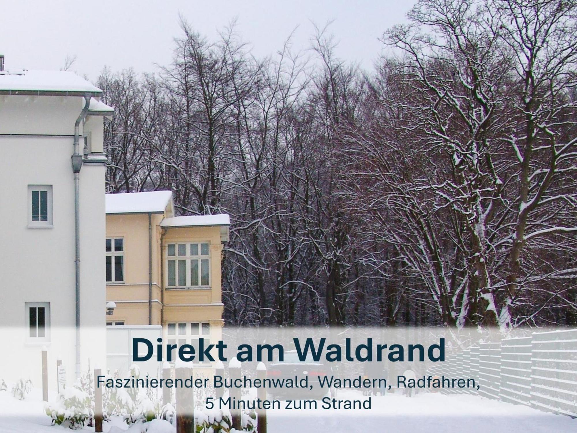 Zinnowitz, Paradies Am Wald - Wg 05 Екстер'єр фото
